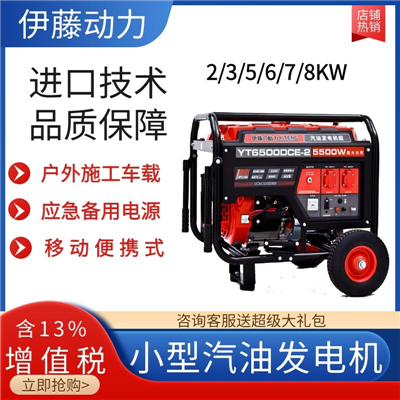 5KW電啟動(dòng)220V汽油發(fā)電機(jī)YT6500DCE-2